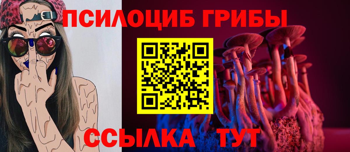 Псилоцибиновые грибы GOLDEN TEACHER  Вход с VPN  Снежинск 